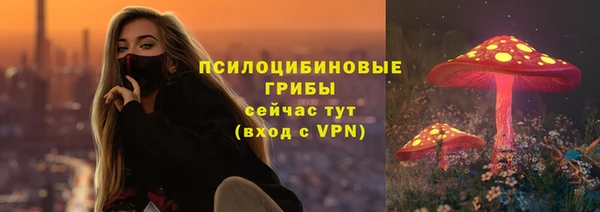 дживик Иннополис