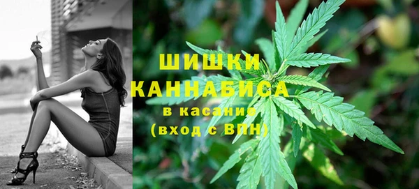 ПСИЛОЦИБИНОВЫЕ ГРИБЫ Богородск