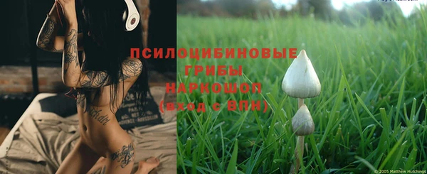дживик Иннополис