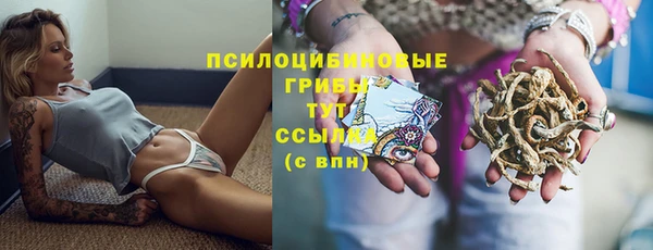 марки nbome Богородицк